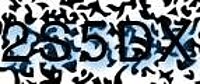 grafischer Sicherheitscode