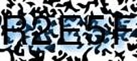 grafischer Sicherheitscode