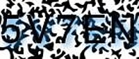 grafischer Sicherheitscode